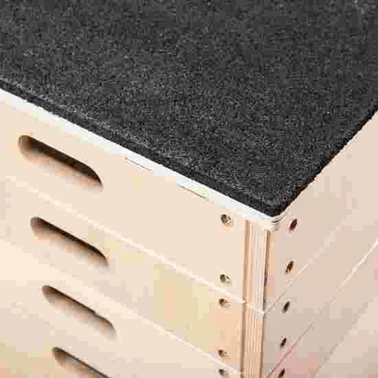 Sport-Thieme Jump-Strength Trainer 1 Sport-Thieme Jump-Strength Trainer