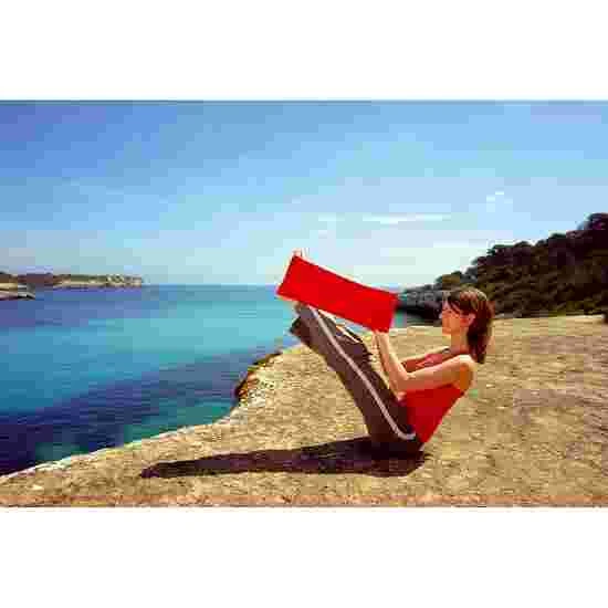 Sissel Pilates Band 1 Sissel Pilates Band