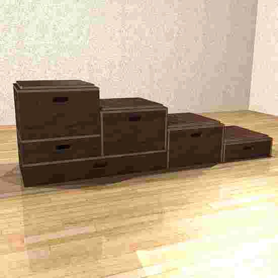 Sport-Thieme Combi Plyo Box Set 2 Sport-Thieme Combi Plyo Box Set - Image 2