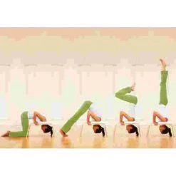 Feetup "Classic" Trainer 22 Feetup "Classic" Trainer -Sports Fitness Store 259 6802 2